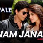 Janam Janam Lyrics